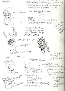 sketchbook2.jpeg