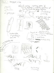 sketchbook5.jpeg