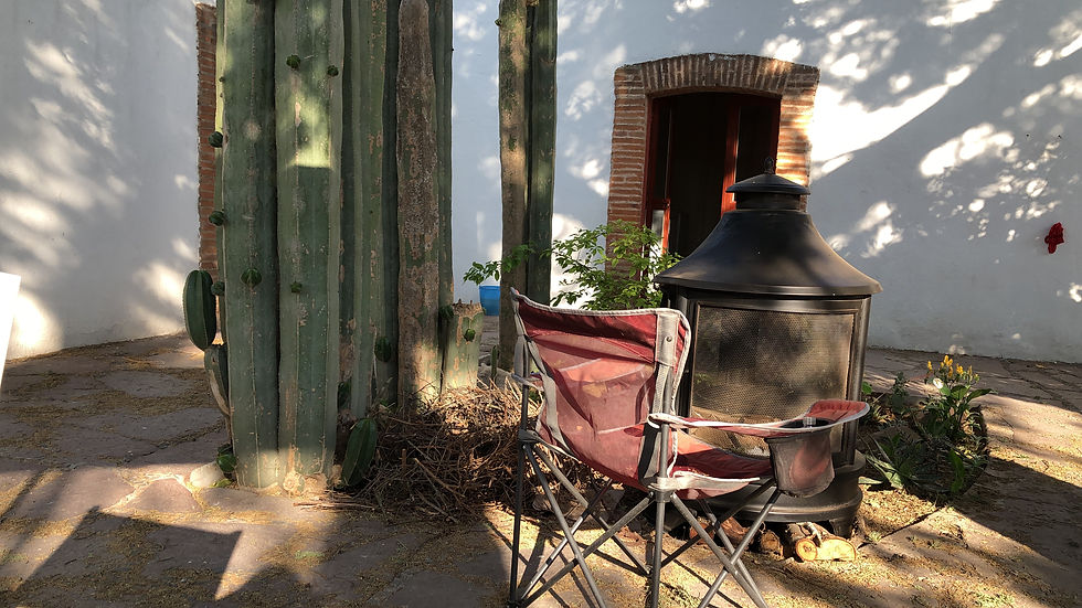 Patio scene with a tall cactus, a red folding chair, and a black metal outdoor fireplace. Sunlight creates shadows on the stone floor.