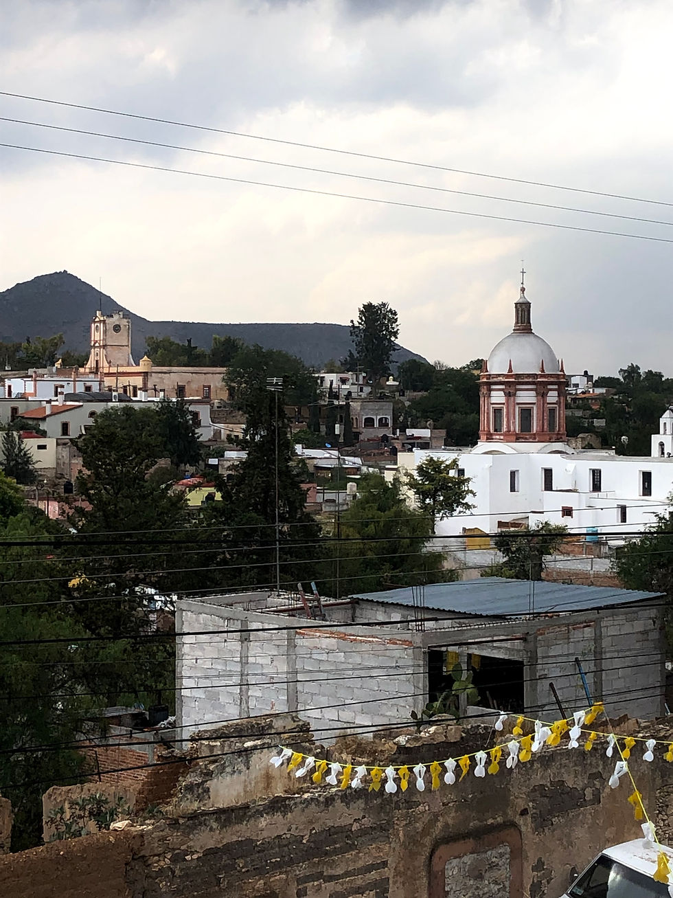ancient mexican church with cupola, historic buildings and old adobe walls. overcast, moody sky