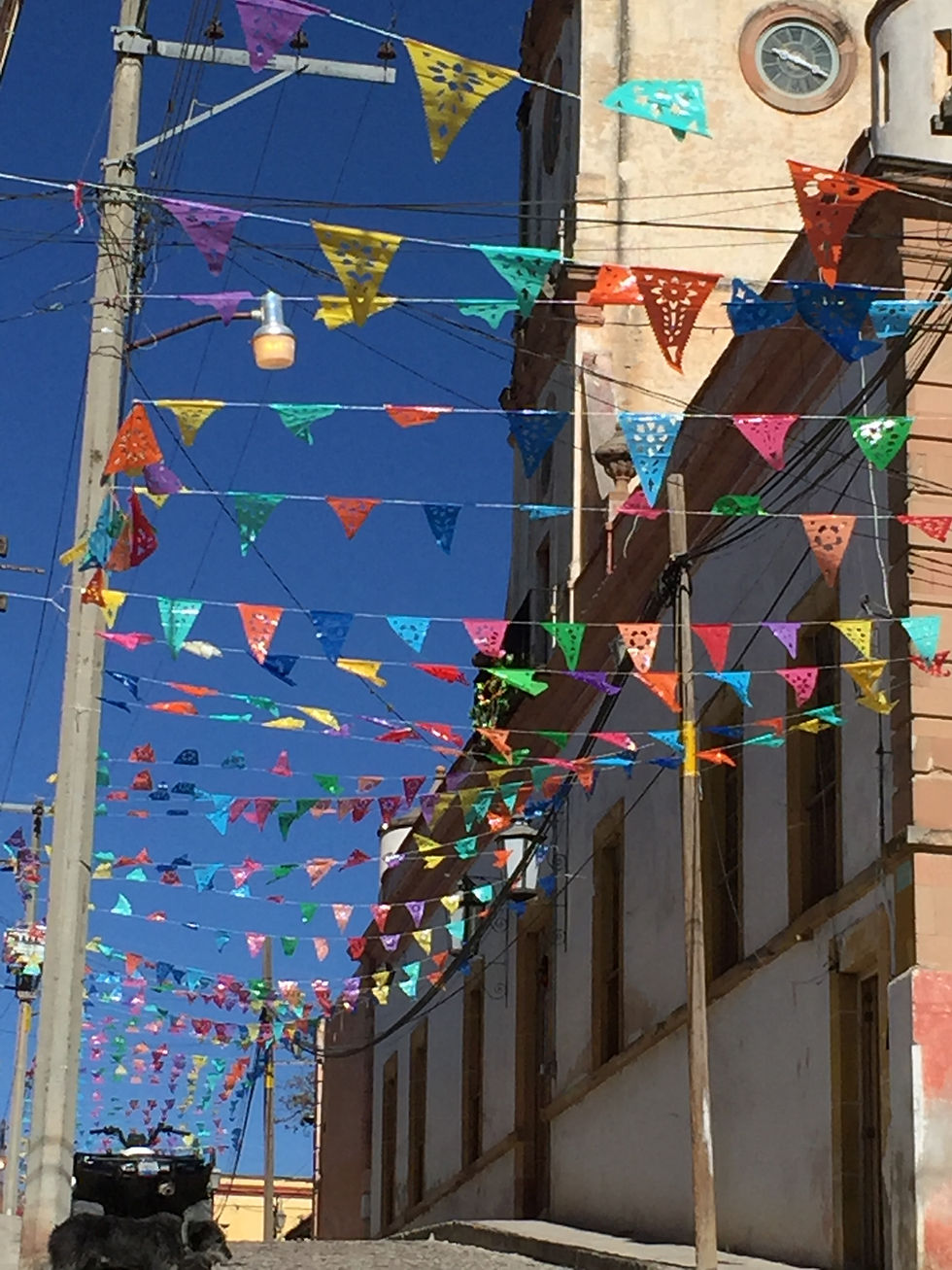 Discover the Charm of Pueblo Magico Mineral de Pozos Through Casual Walking Tours in English and Spanish