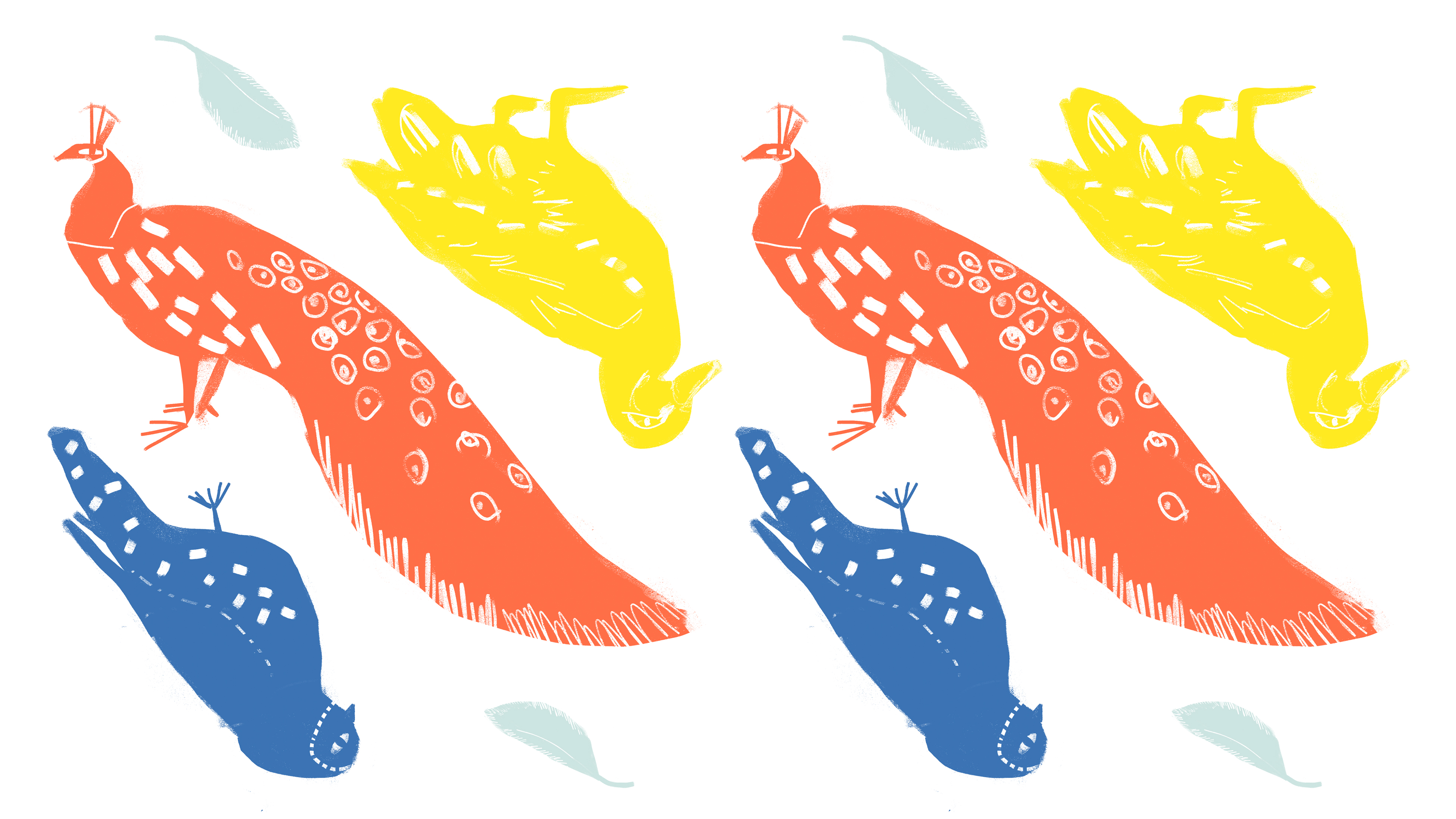 Illustrated Birds