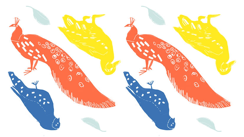 Illustrated Birds