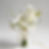 White calla lily and orchid bridal bouquet with ribbon