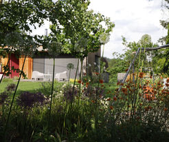 zahradní architekt Praha; landscape design; design; divoká zahrada; džungloidní zahrada; krajinářský architekt; Pěčín