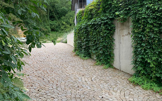 zahradní architekt Praha; landscape design; design; divoká zahrada; džungloidní zahrada; krajinářský architekt; Pěčín