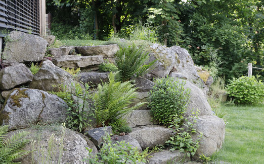 zahradní architekt Praha; landscape design; design; divoká zahrada; džungloidní zahrada; přírodní zahrada, zahradní architekt; krajinářský architekt