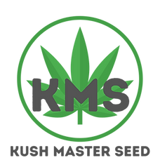 KMS (1).png