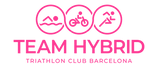LogoTeamHybrid.png