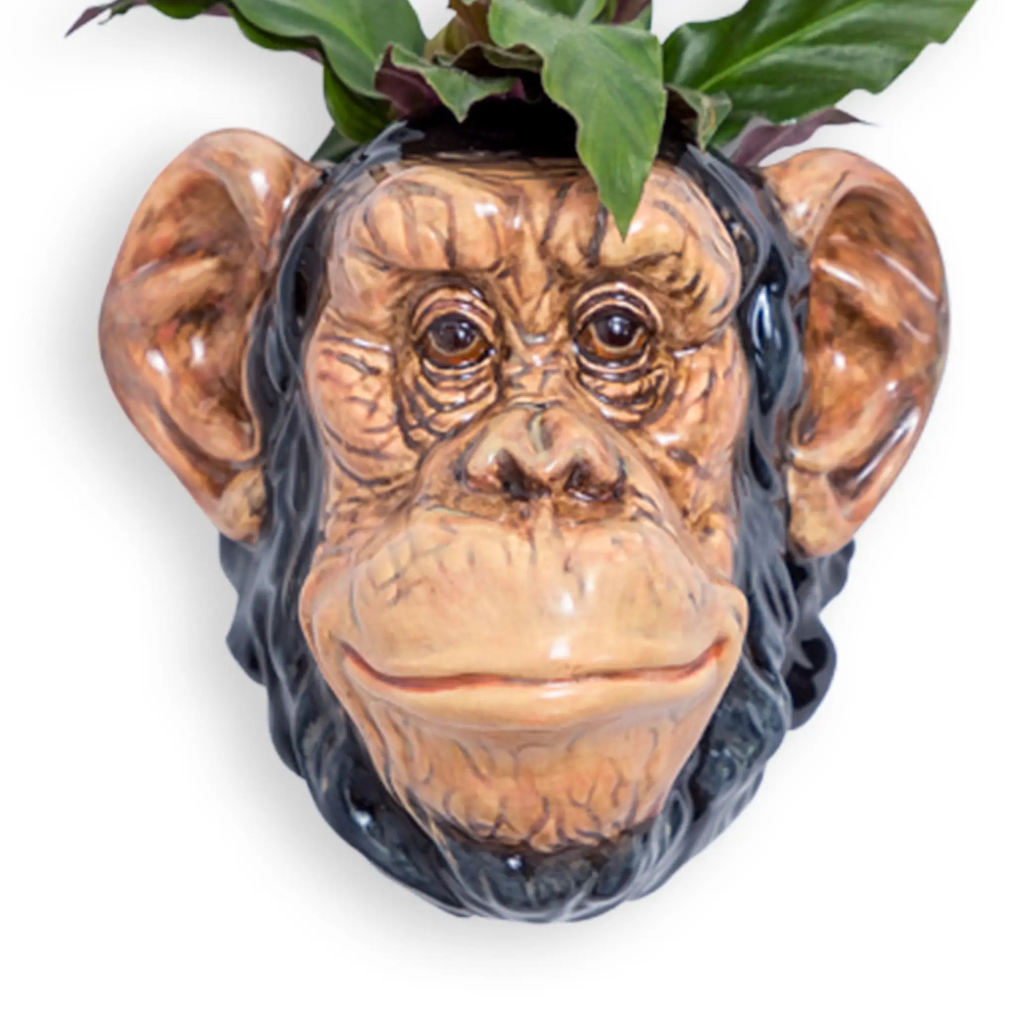 Chimp Wall Planter Ceramic 