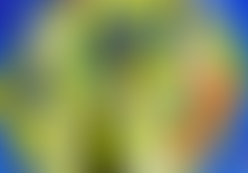 Jogos e Brincadeiras