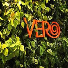 Vegan Food in Rio