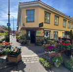 Colorful wooden houses in Kampen neighborhood, Oslo, Norway
— Row of 19th-century wooden houses on a quiet hillside street in Oslo