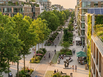 From Green to Greenery: A Living Colour in Architecture, Interiors, and Landscape Design