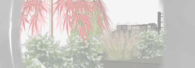Screenshot 2026-01-12 223652_edited.jpg