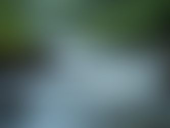 Uncovering the Alarming Rise of Flash Floods and Thunderstorms in Just One Day