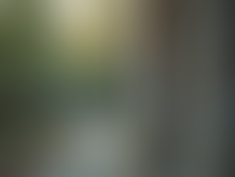 Is the Phone Ban Sweeping Across Schools and Colleges in 2025?