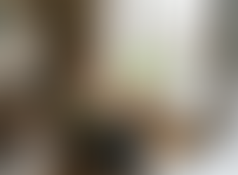 Why Everyone Is Searching Plague Russia, Solar Eclipse, Draw You Out and Simu Liu Wedding