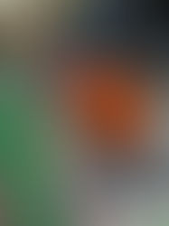 America's Tiniest Thanksgiving Parade with 20,000+ LEGO® BricksAmerica's Tiniest Thanksgiving Parade with 20,000+ LEGO® Bricks