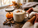 Why Pumpkin Spice Rules Fall Cultural Roots, Marketing Magic, and Nostalgia