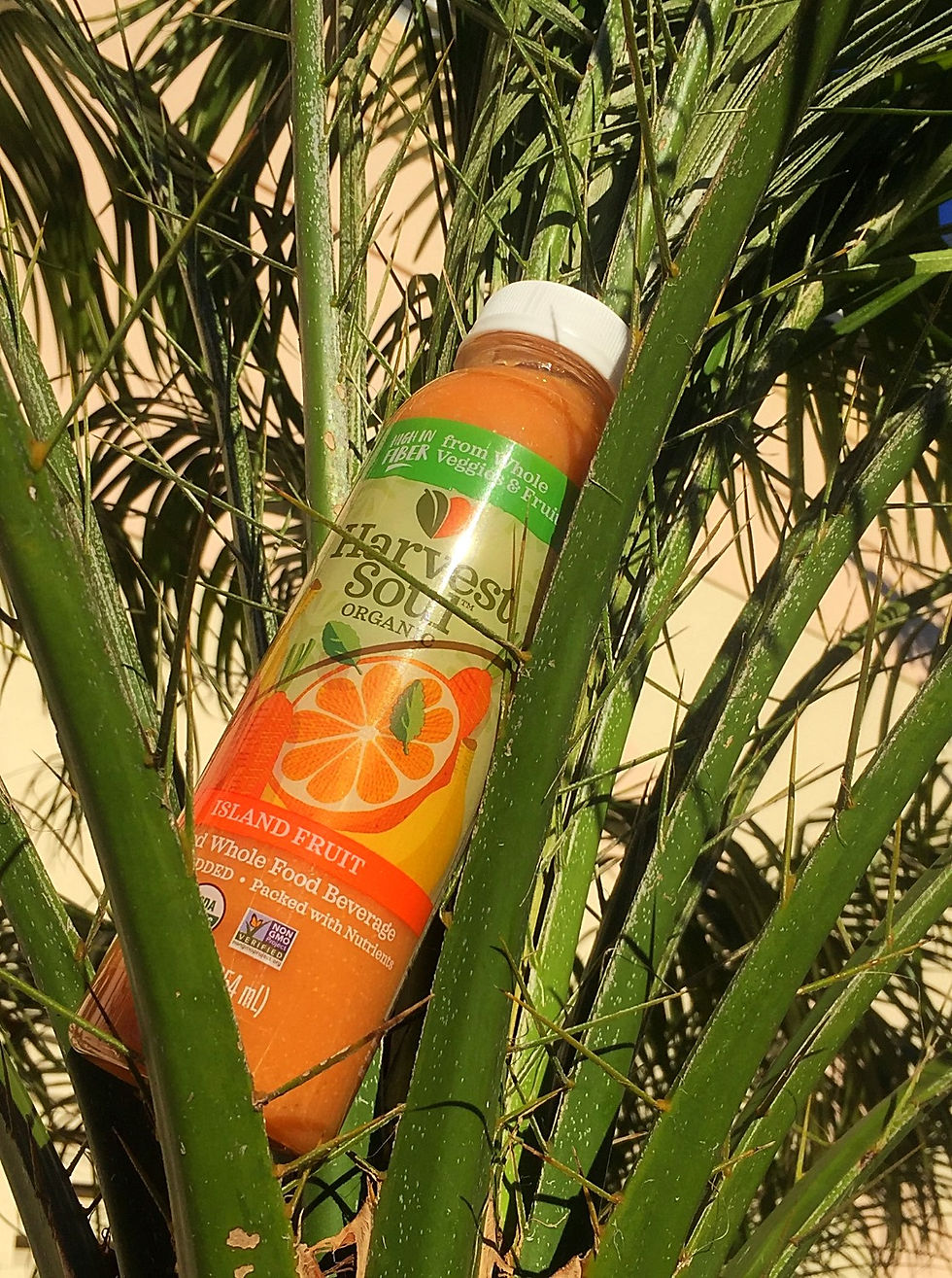 Harvest Soul at Atlanta Eco Home Trunk Show