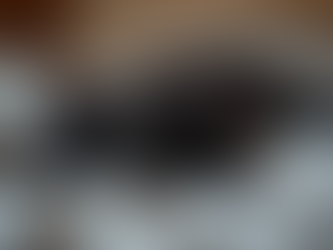 The Truth About Adopting Black Cats in October and Why They Deserve More Love