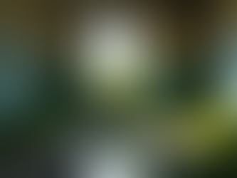 Exploring the Uncharted Territories of The Last of Us Season 3