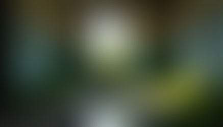 Exploring the Uncharted Territories of The Last of Us Season 3