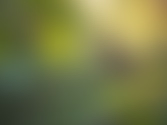 Exploring the Surge of Bird Theory and Its Impact on Relationship Dynamics