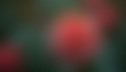 Unveiling the Mystery of Gen Alpha Slang and Their Surprising Emoji Choices