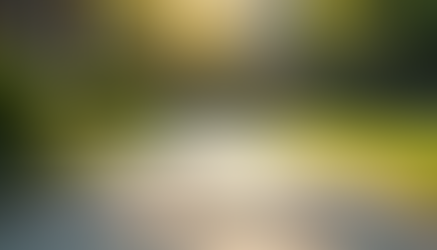 The Surprising Attraction: Why Do Cats Love Concrete Slabs So Much