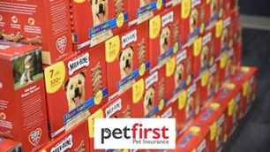 PetFirst sending 15,000 treats to shelter dogs