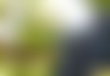 Atlas Hosts Wine-Pairing Dinner with Brancatelli