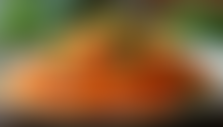 Discover the Top Trending Dishes and Styles of the Week from French Carrot Salad to Cigarette Jeans