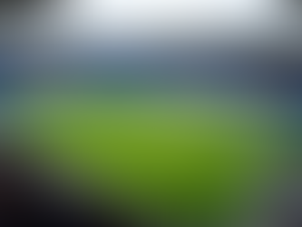 Brighton vs Liverpool: Analyzing the Surge in Interest and Performance Trends