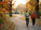 Why Friendships Shrink in Your 30s and 40s