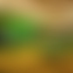 Earth Day: Which Vegas Casino is Best for 'Green Eating?'