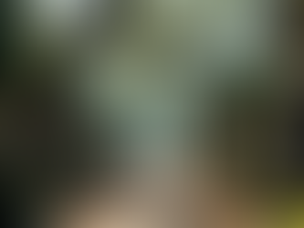 Exploring America's Haunted History: Why Ghost Tours in New Orleans Reign Supreme