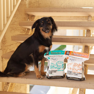 Convenient Healthy Pet Food Because Your Fur Baby Deserves The Best!