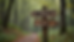 Eye-level view of a rustic wooden signpost with the names Billiam and Iso carved into it