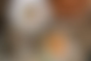 Firepit Pizza Tavern - Young, Wild & Three Anniversary Party