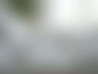 Do Silver Infused Sheets Help Reduce Allergies for Springtime Sneezes