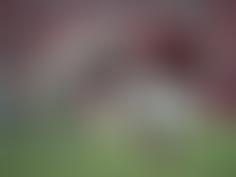 Sauce Gardner Drives CB Rankings Surge While Longest Field Goal Records Fall