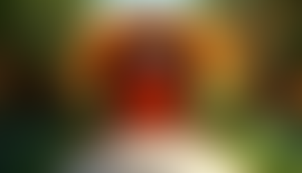 Exciting New Adventures Await at Walt Disney World: From Zootopia to Big Thunder Mountain and Beyond