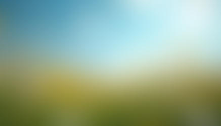 The Essence of Summer Days Unraveled