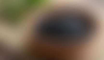 Exploring the Surging Popularity of Black Sesame and Its Benefits for Hair Health in 2025