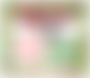 Book your party now!