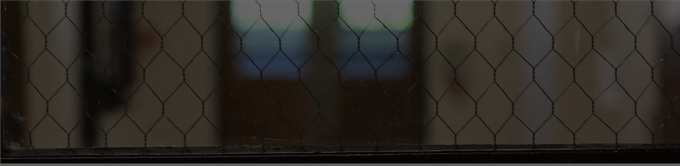 Group 96@2x.png