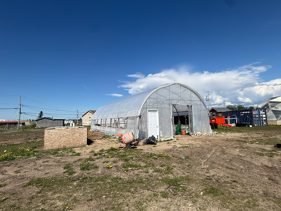 Growing Together: Building the Foundation of a New Community Greenhouse