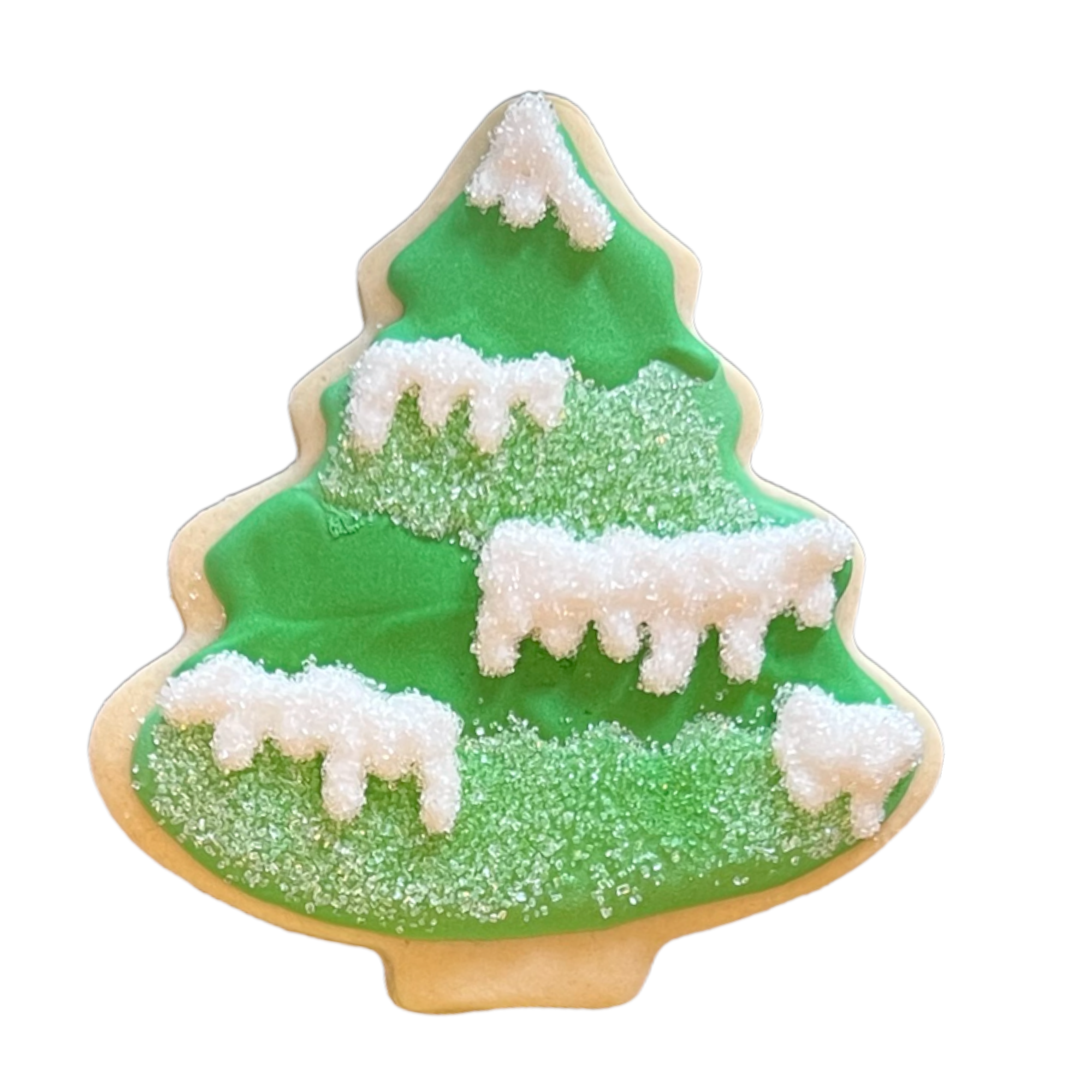 Winter Tree Sugar Cookies